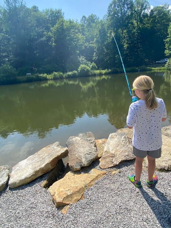 006c294f-99c2-4138-acee-45133b4468e0