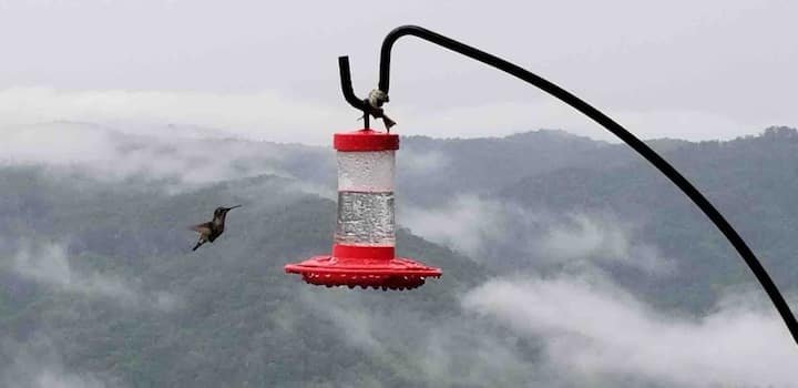 c8c7e030-e8eb-4194-8950-21dafcd8cd61