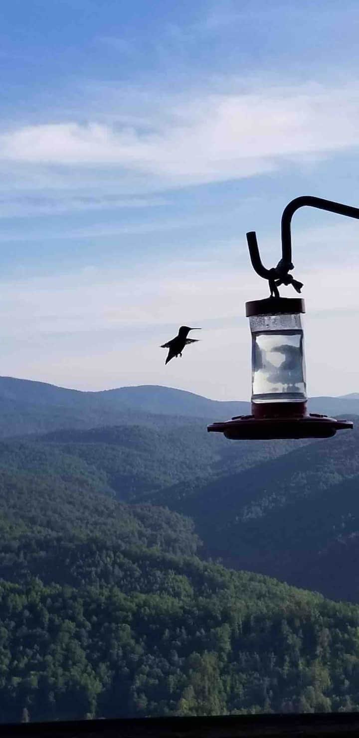 cfbe1609-710f-45d6-848d-355e7dd0a05c