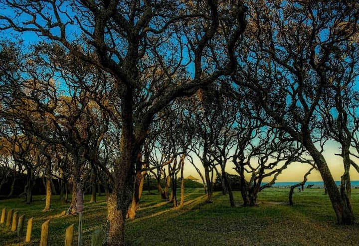 e66097cb-8a82-4ac4-9c88-b85ef4be2b94